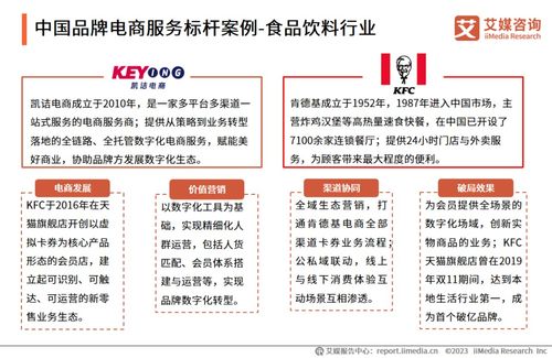 2023年中國(guó)品牌電商服務(wù)行業(yè)深度解析 艾媒咨詢(xún)研究報(bào)告揭示市場(chǎng)趨勢(shì)與機(jī)遇